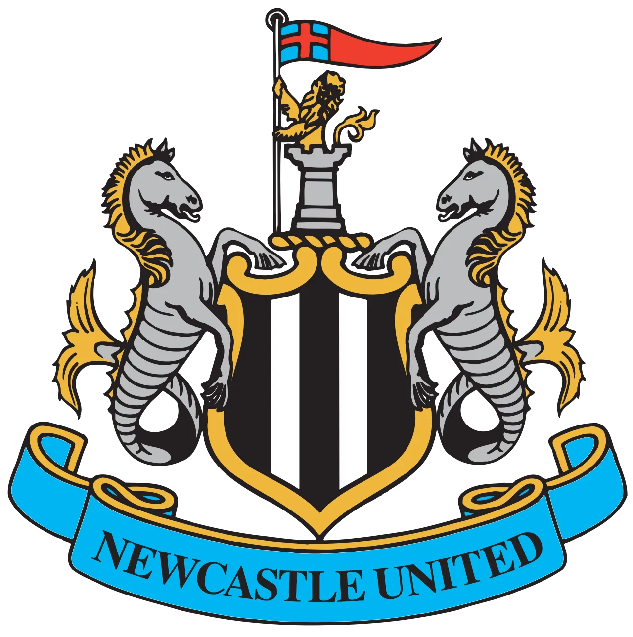 Newcastle Next Coach