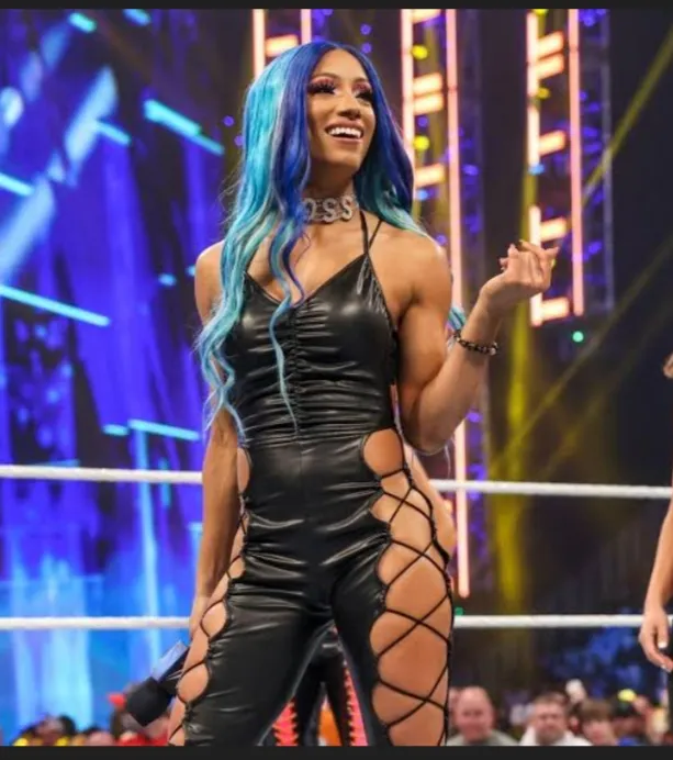 WWE hottest women wrestler 