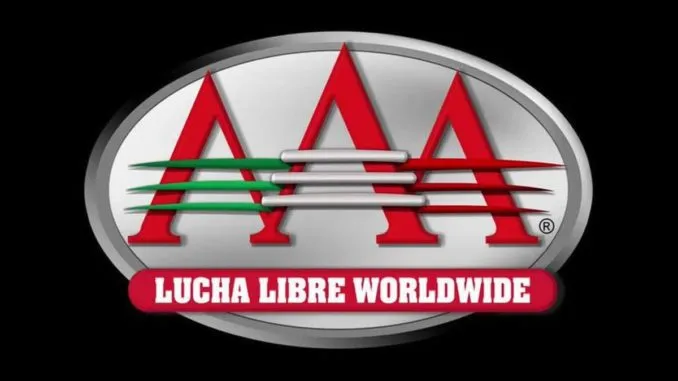 Lucha Libre AAA Wrestler