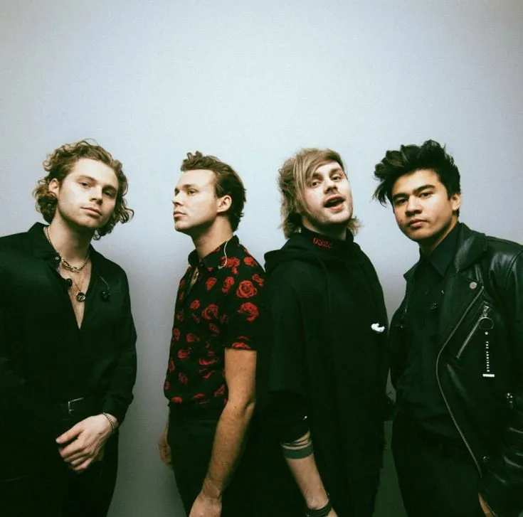 The Best 5 Seconds of summer Music videos 
