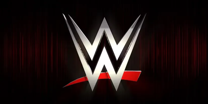 Best WWE PLE match in 2025