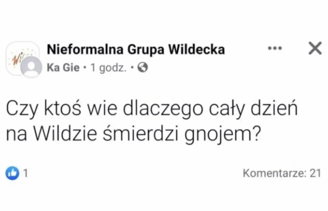 Top Poznańskie Przystanki