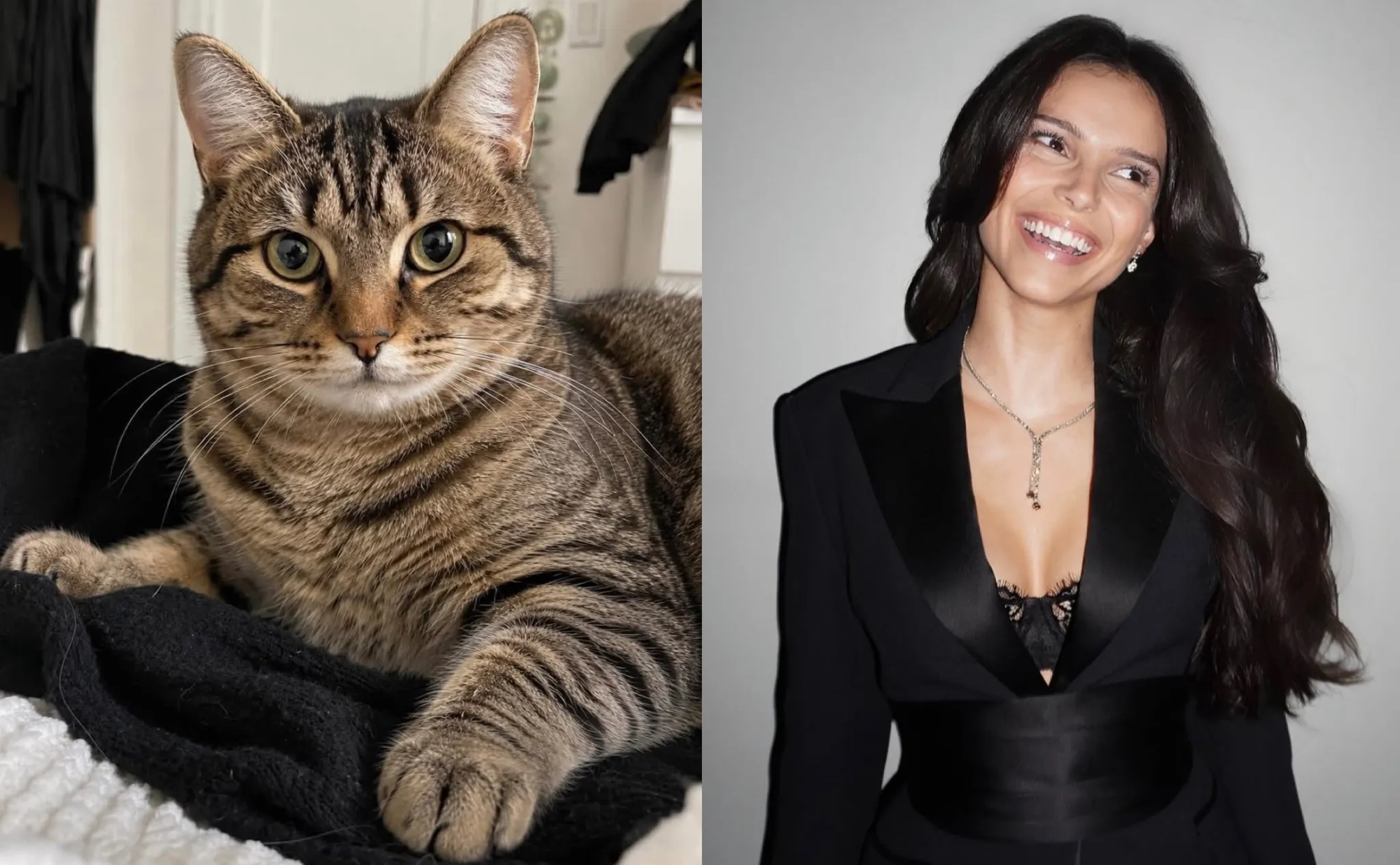 WC 1 Groupe B : Animals VS Beauty World