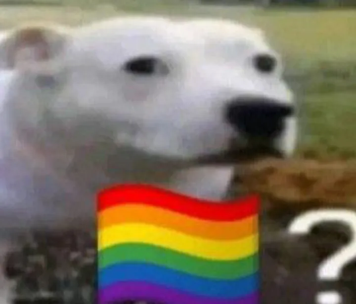 Best Anime Male