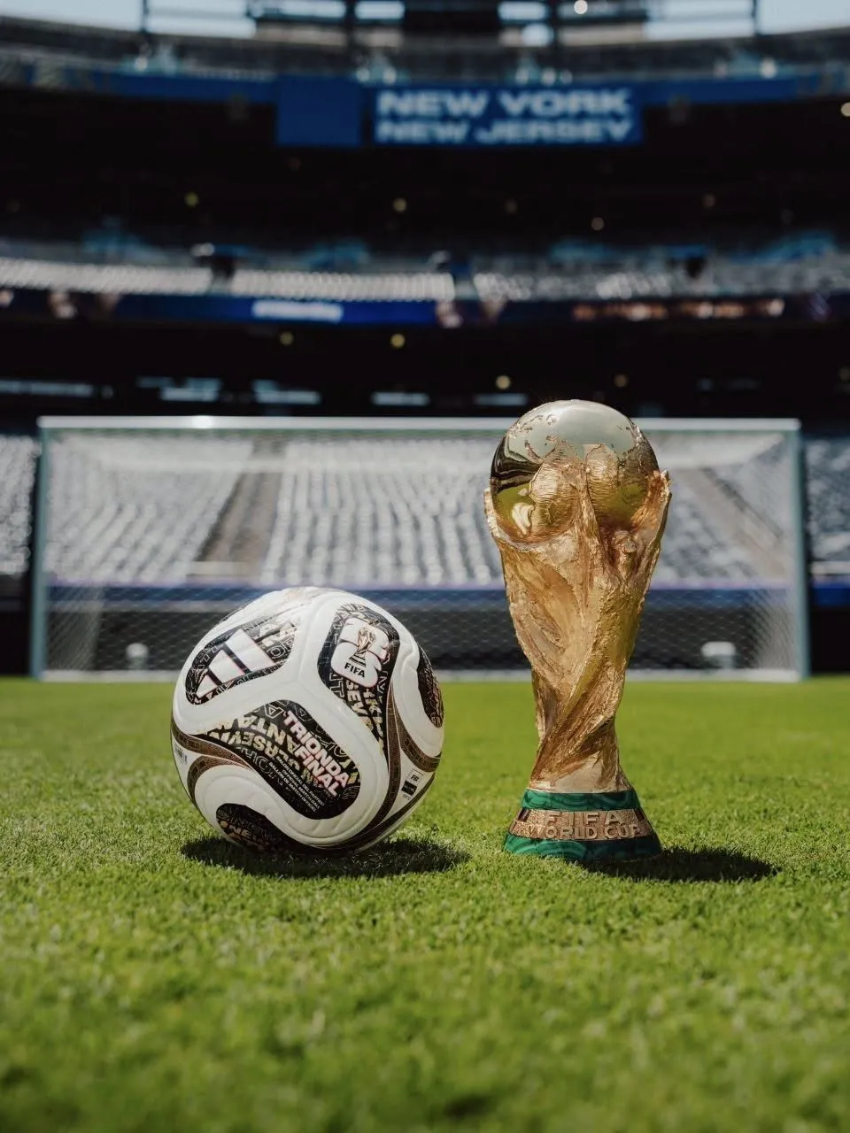 Goal of the World Cup
