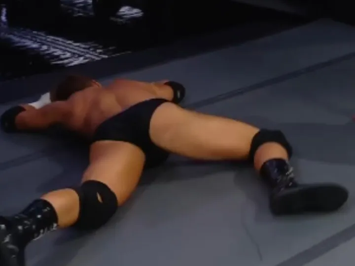 Random WWE Wrestlers