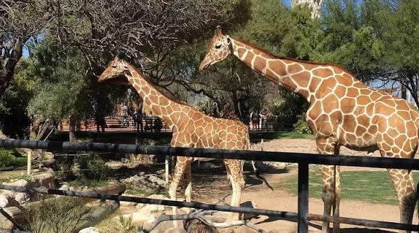 Türkiye'de bulunan en iyi zoolar