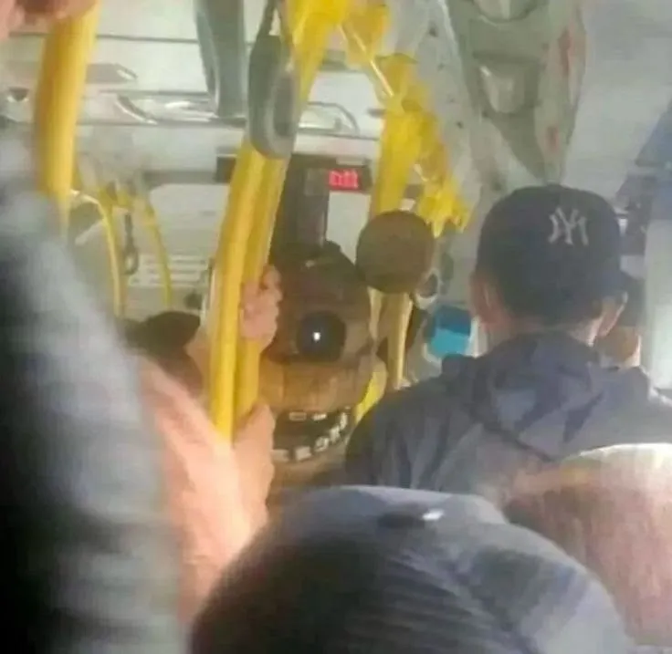 Quem você pegava versão Honkai Star Rail