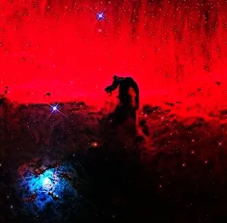 Is the Horsehead Nebula the coolest nebula?