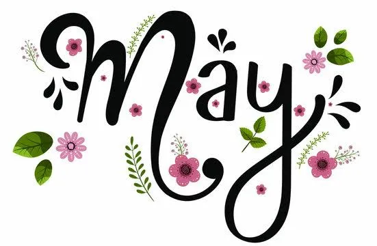 Thai Pop Idols 5: May births