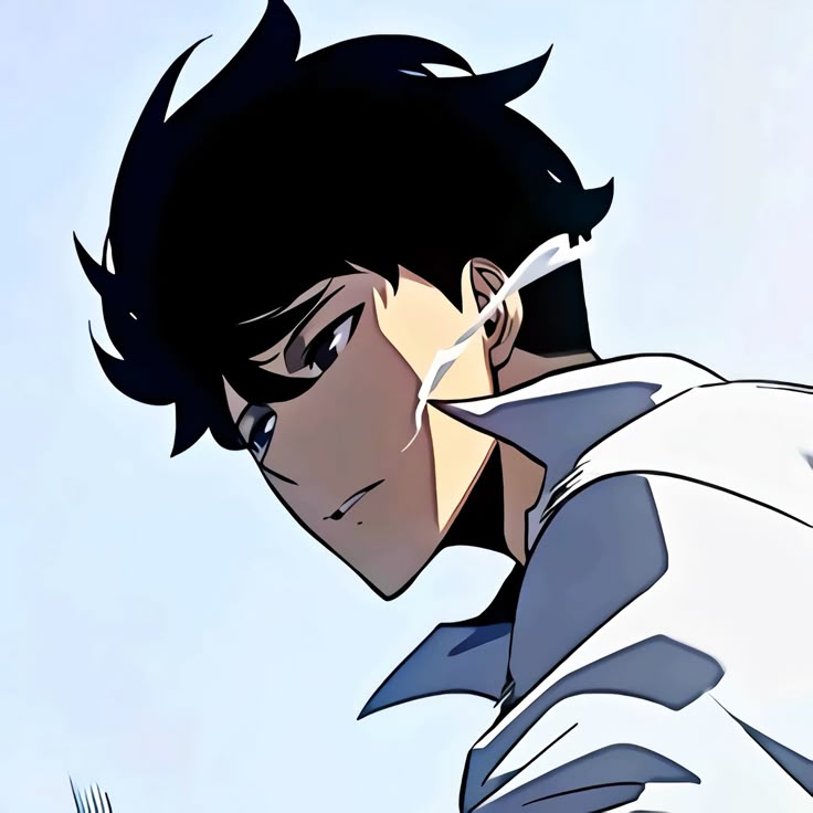 profile