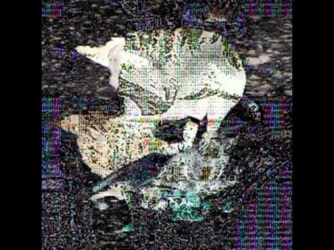 Death Grips Bracket - 2