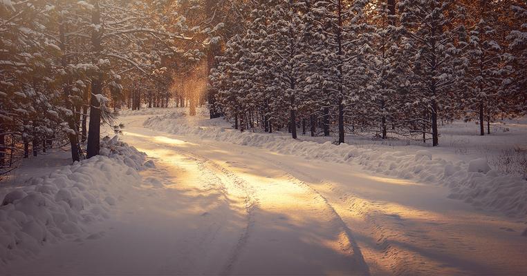 Seasons - 1