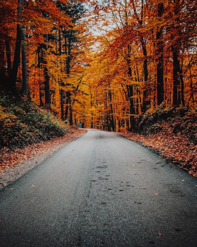 Seasons - 2