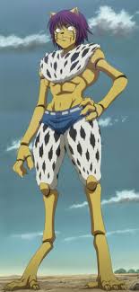 PERSONAJES SECUNDARIOS DE HUNTER X HUNTER - 1