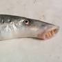 Pesce-patata - 2