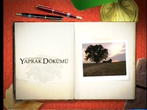 Favori Türk Dizi Jeneriğini Seç - 1