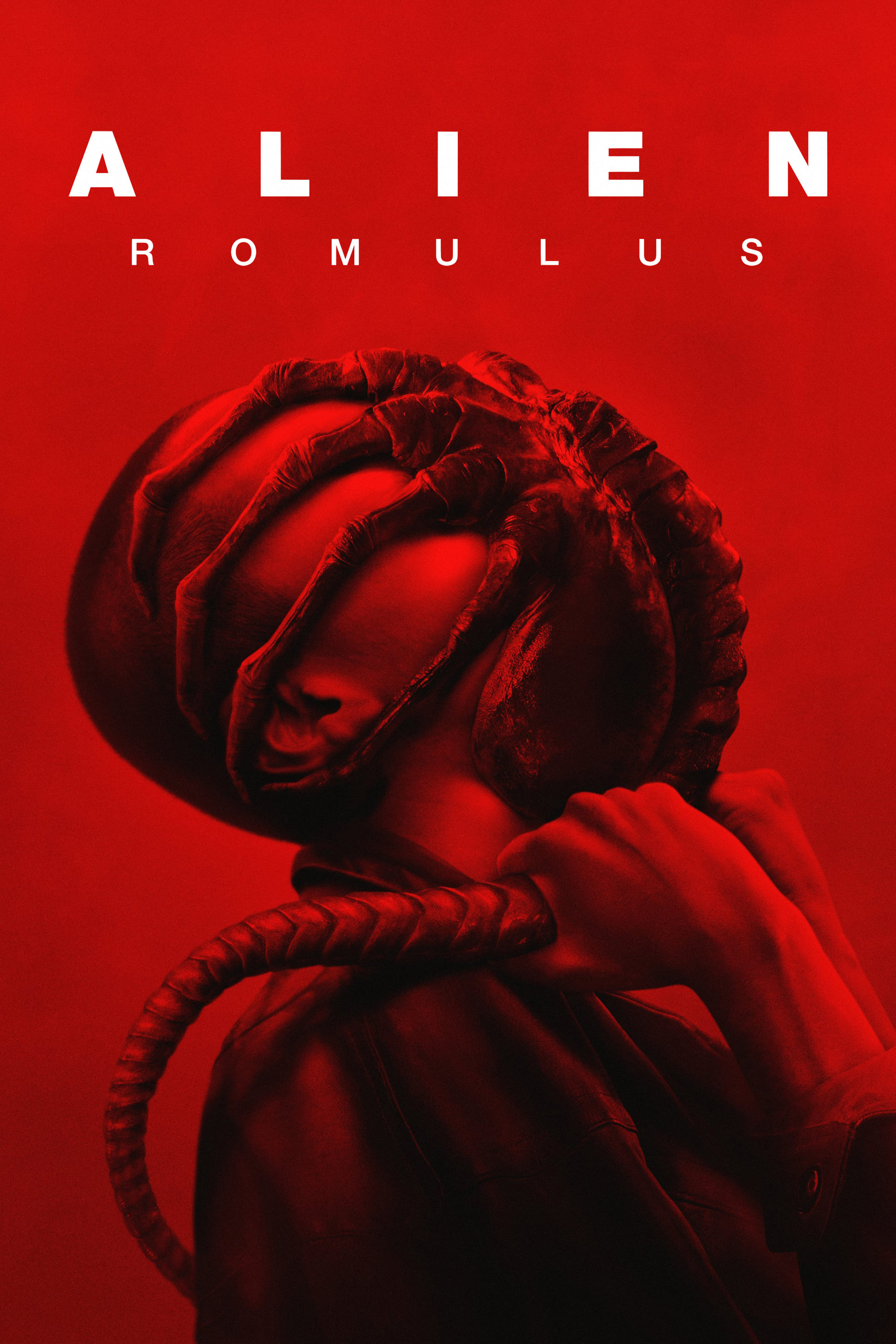 Meilleur Film 2024 - 1