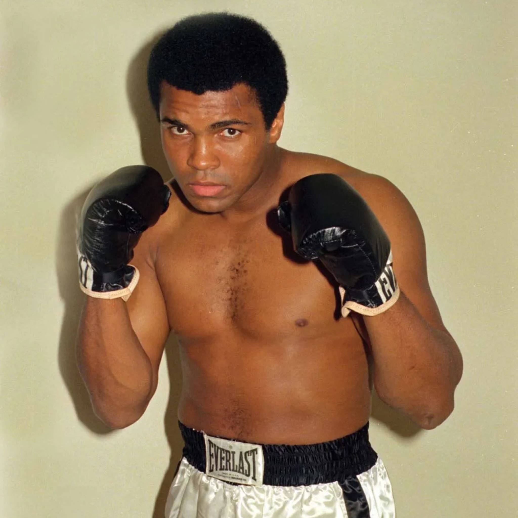 Goat of Sport - 2