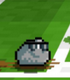 Server Pipepino - 1