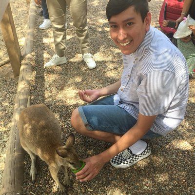 Greatest Western Pokemon VGC Players - 1