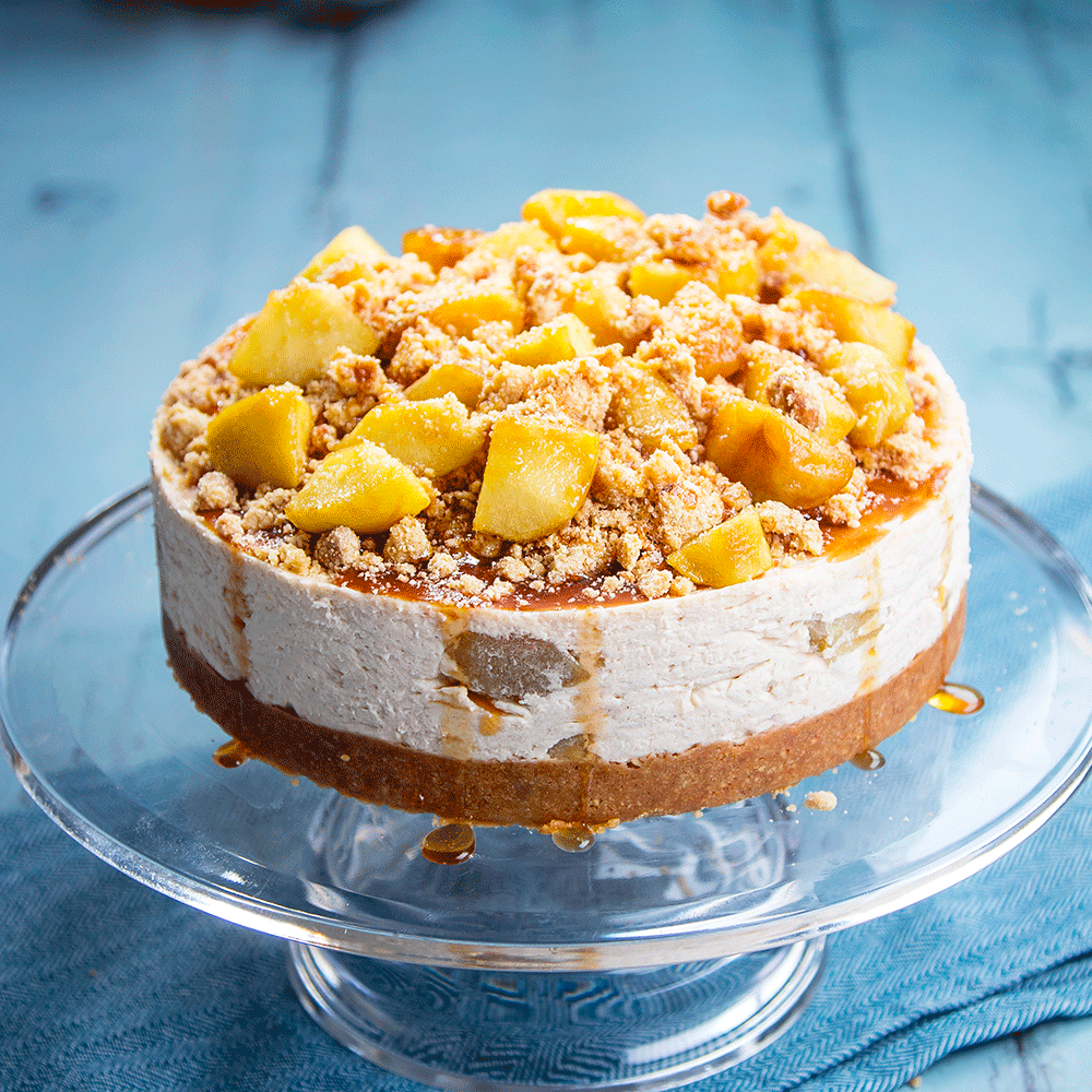 Cheesecake Showdown - 1