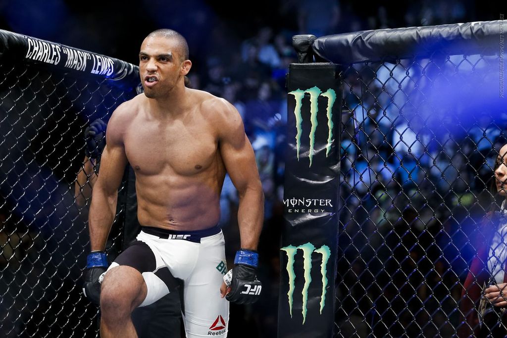 UFC Lightweight Fighters - 1