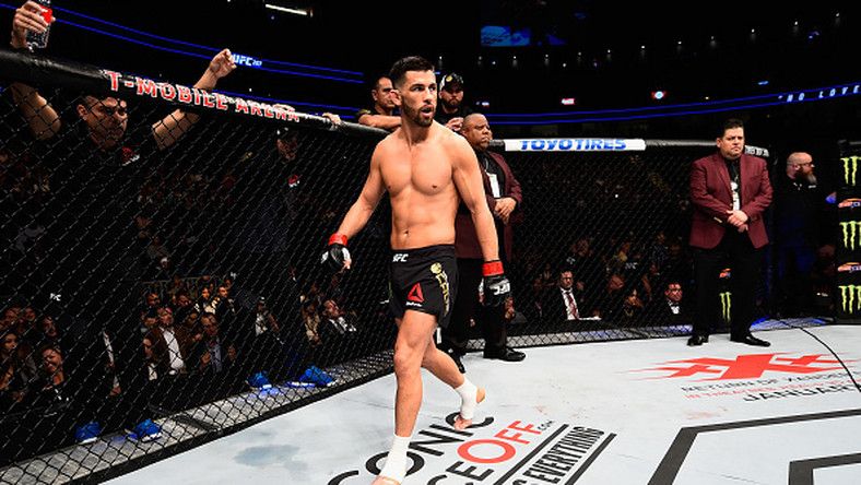UFC Fly-Featherweight Fighters - 1