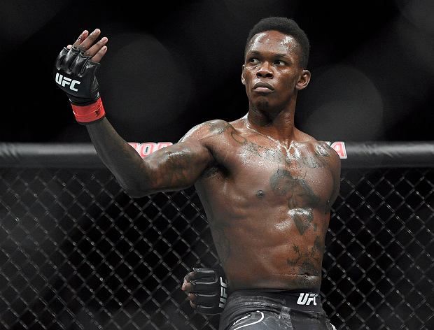UFC MiddleWelterweight Fighter - 2