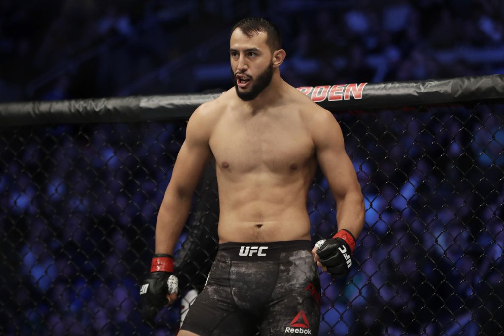 UFC LightHeavy & Heavyweight  - 1