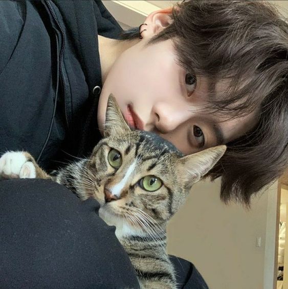(KPOP) Kpop Idols - 2