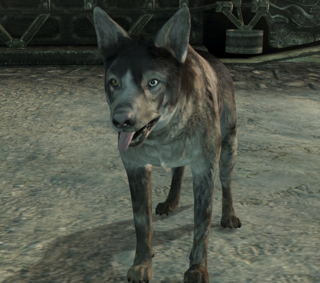 Miglior compagno Fallout 4 DLC, 3, New Vegas - 2