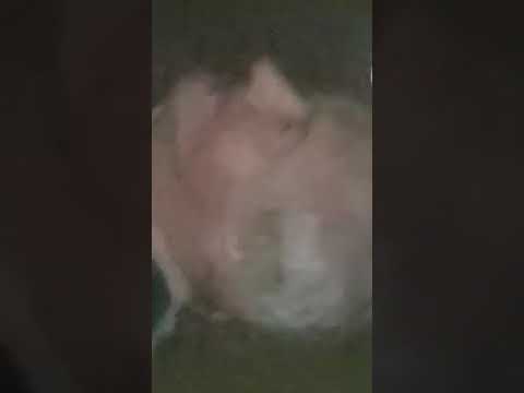 NAJWIĘKSZY POJEDYNEK ŻULI - 1