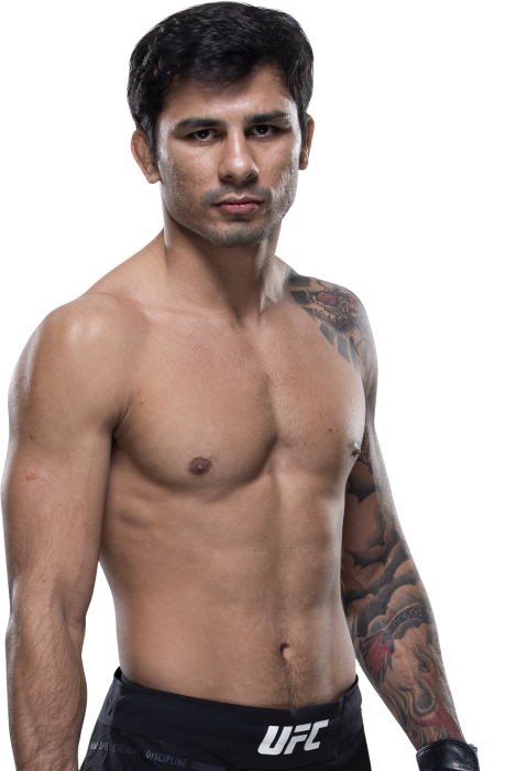 UFC FLYWEIGHT RANKED FIGHTERS - 1