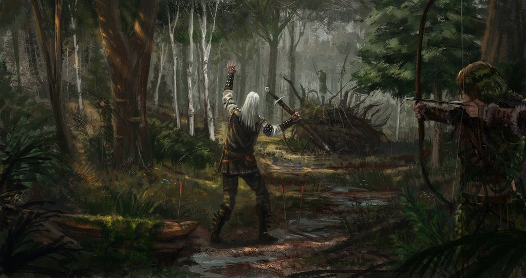 The Witcher - Which kingdom/land you prefer? - 1
