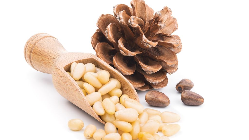Nut Showdown - 2