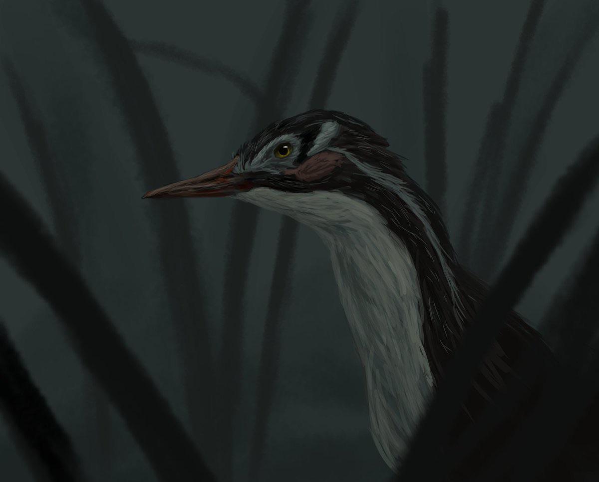 ultimate extinct animals by the humanity cup - 2