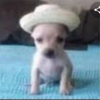 Quien ha follado mas? - 1