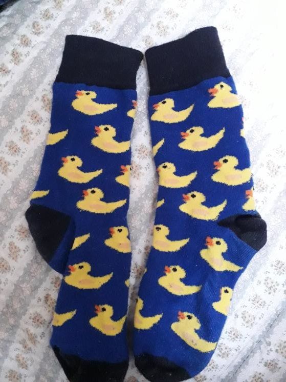 Qual รฉ a meia mais PICA? - 1