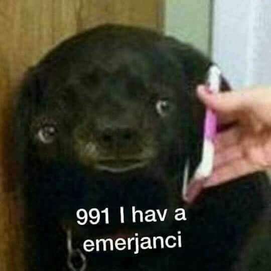 The Best Reaction Picture - 1