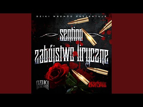 NAJLEPSZE NUTY SENTINO - 2