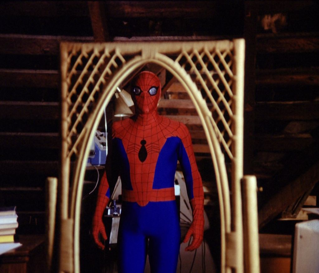 Best Spider-Man (Live Action) - 1