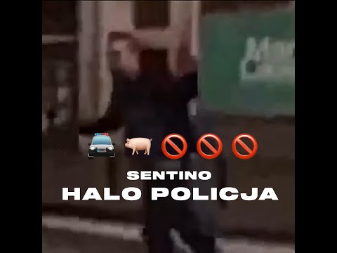 Najlepsza nuta Sentino - 2