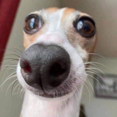 Największa knaga na polskim twitterze - 2