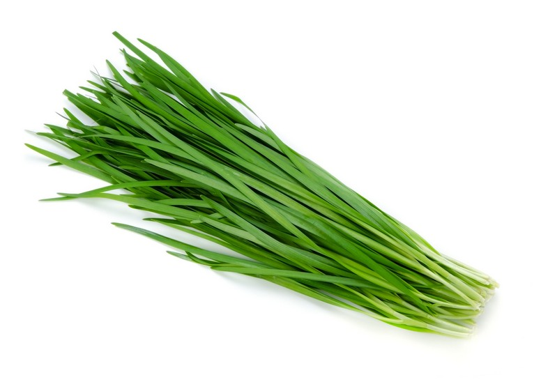 Favourite Vegetable - 2