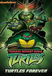 Best Teenage Mutant Ninja Turtles movie  - 1