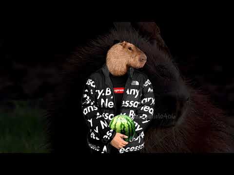 wowogus - 1