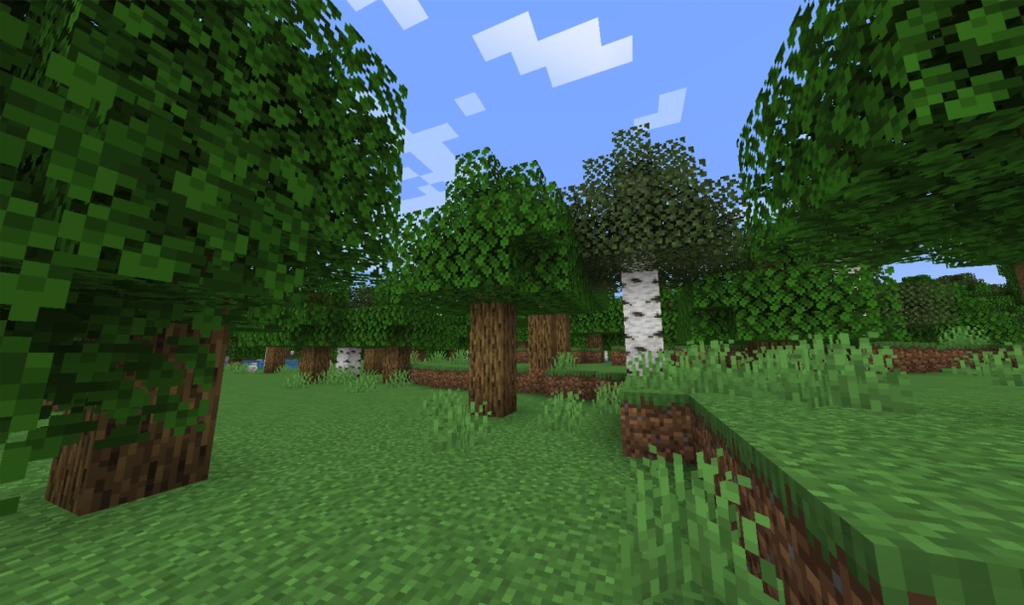 Best Minecraft Biome - 2