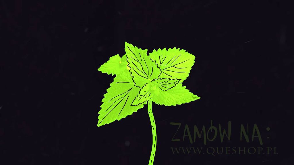 mateusz bluza - 2