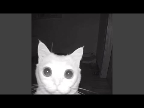 7ksubi Best Songs (updated) - 2